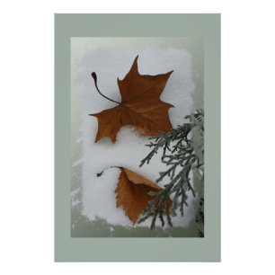 Impression Photo Feuilles d'érable