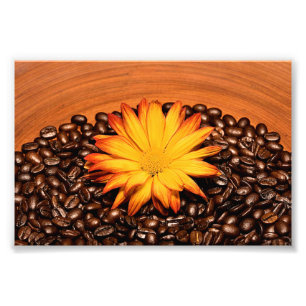 Impression Photo Fèves de café et marguerite jaune