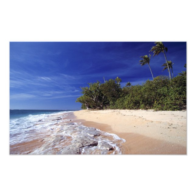 Impression Photo Fidji, Tavarua. Cette plage de Tavarua (Devant)