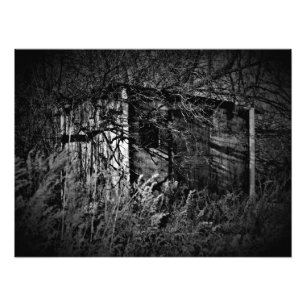 Impression Photo "Fièvre d'intrusion"
