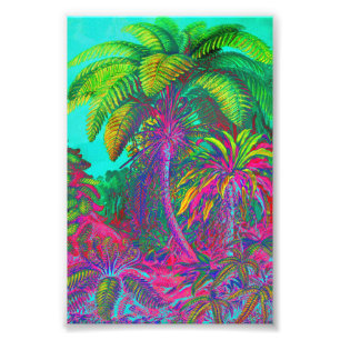 Impression Photo Filicinae Arbres et fougères