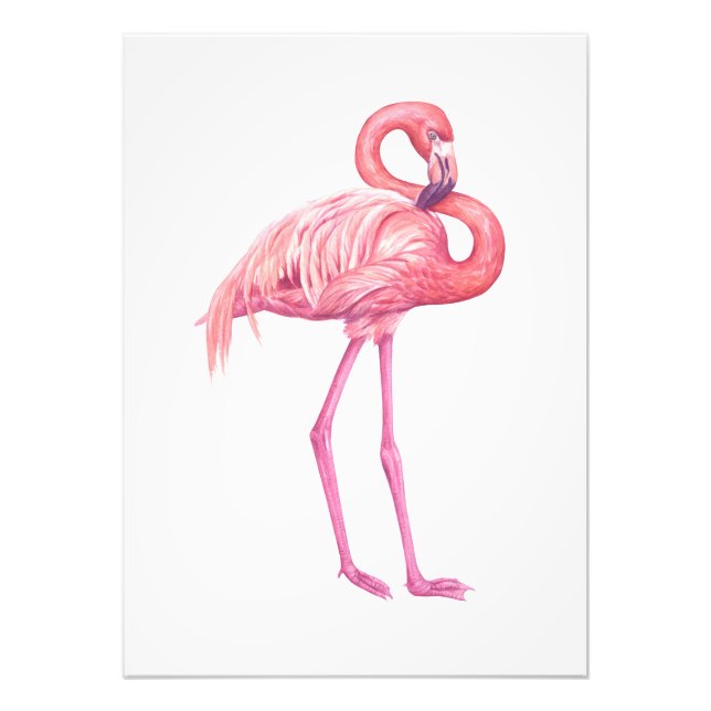 IMPRESSION PHOTO FLAMANT ROSE 2 (Devant)