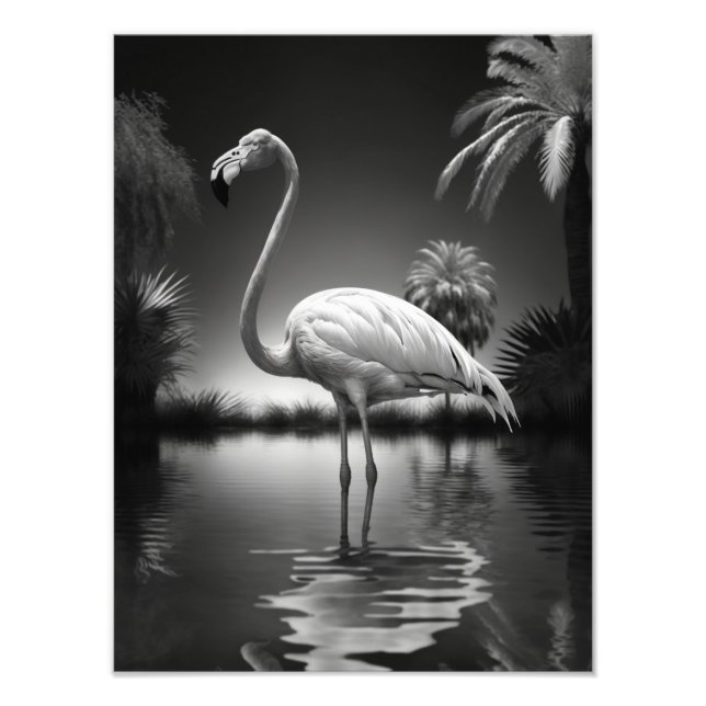 Impression Photo Flamant rose dans une piscine (Devant)