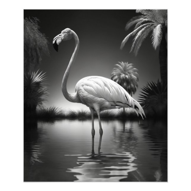 Impression Photo Flamant rose dans une piscine (Devant)