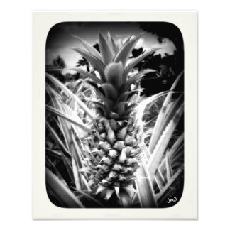 Impression Photo Flash D'Inspiration