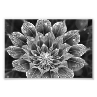 Impression Photo Fleur Dahlia fractale BnW par microscope électroni