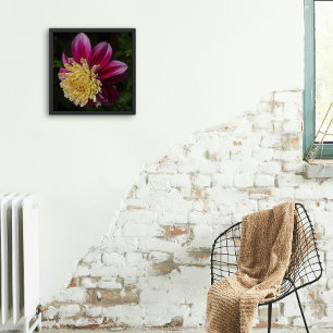 Impression Photo Fleur d'anémone rose Dahlia