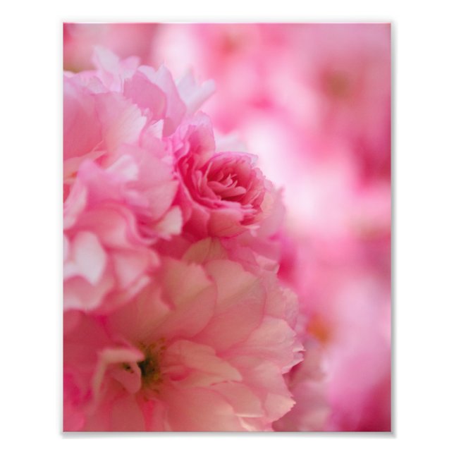 Impression Photo Fleur de cerise (Devant)