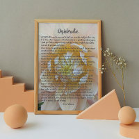 Fleur de Dahlia rose pâle du poème Desiderata