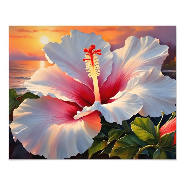 Impression Photo Fleur d'Hibiscus au coucher du soleil (Devant)