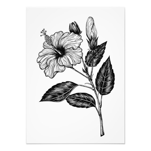 Impression Photo Fleur d'Hibiscus III (Devant)