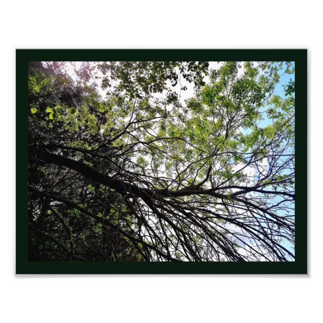 Impression Photo Fleur du printemps (Devant)