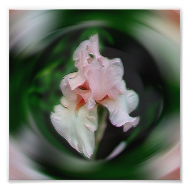 Impression Photo Fleur Iris Rose Abstrait Art 8x8 (Devant)