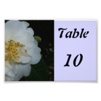 Fleur Numéro de tableau