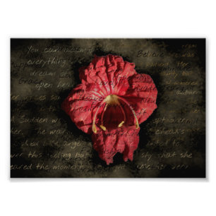 Impression Photo Fleur rouge sur le texte Grunge
