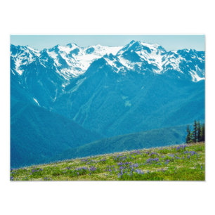 Impression Photo Fleur sauvage et Montagnes