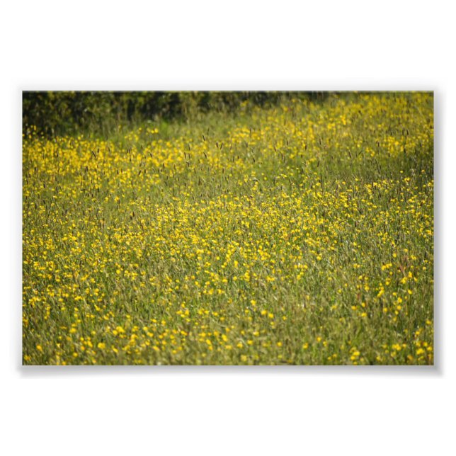 Impression Photo Fleurs (Devant)