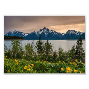 Impression Photo Fleurs à Colter Bay
