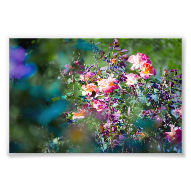 Impression Photo Fleurs à froid (Devant)