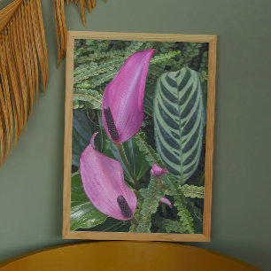 Impression Photo Fleurs d'anthurium rose et feuillage