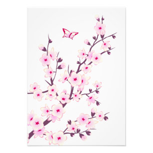 Impression Photo Fleurs de cerisiers roses