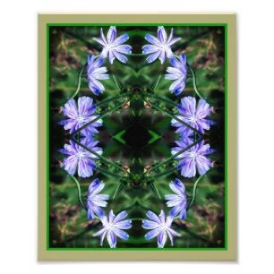 Impression Photo Fleurs de chicorée bleu miroir Abstrait 8x10
