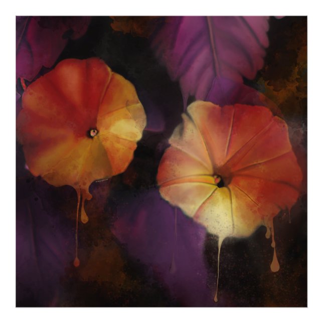 Impression Photo Fleurs de gloire du matin (Devant)