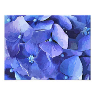 IMPRESSION PHOTO FLEURS DE JARDIN