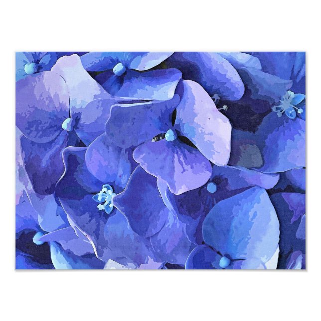 IMPRESSION PHOTO FLEURS DE JARDIN (Devant)