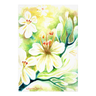 Impression Photo Fleurs de Moringa