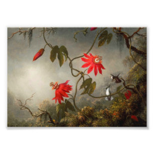 Impression Photo Fleurs de passion avec tête de colibris