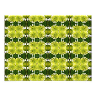 Impression Photo Fleurs d'hortensia abstraites vert chartreuse