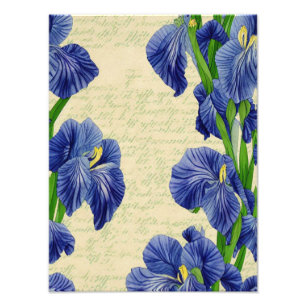 Impression Photo Fleurs d'iris bleu vintage éphémère motif