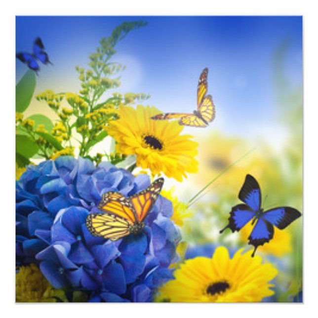 Impression Photo Fleurs Jaunes Bleues Avec Papillons (Devant)