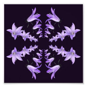 Impression Photo Fleurs Lys violettes Miroir Art Abstrait 8x8