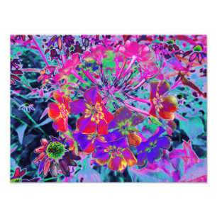Impression Photo Fleurs psychédéliques colorées rouges et violettes