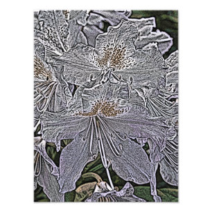IMPRESSION PHOTO FLEURS RHODODENDRON