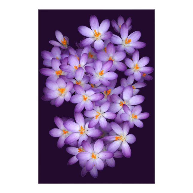 Impression Photo Fleurs violettes (Devant)