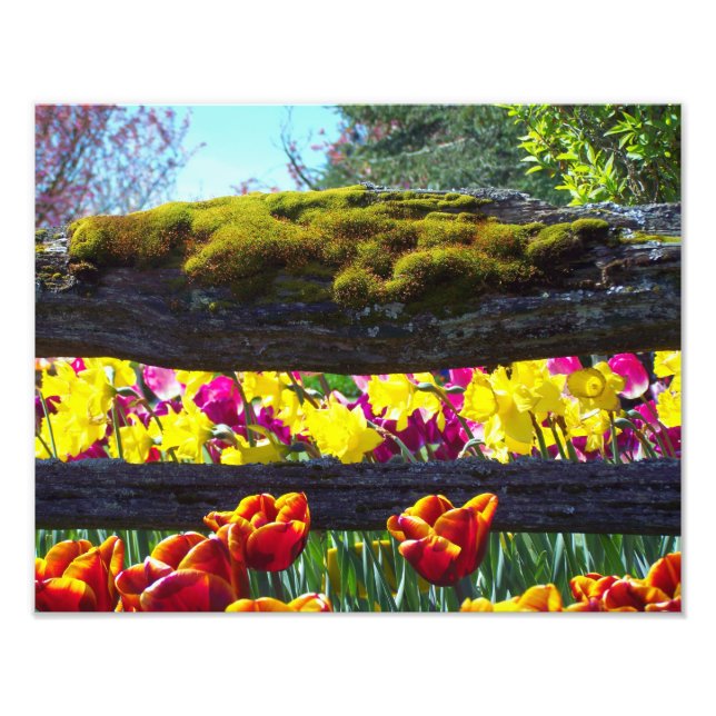 Impression Photo Floral Choral (Devant)