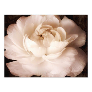 Impression Photo Flore de sépia noir et blanc