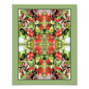 Impression Photo Flower Quince Red Blossoms Miroir Abstrait 8x10
