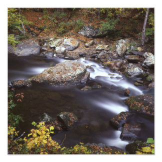 Impression Photo Flux dans les Smokies