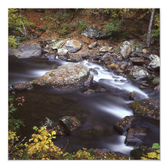 Impression Photo Flux dans les Smokies (Devant)