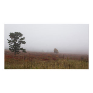 Impression Photo Foggy Big Meadows pendant l'automne, Virginie