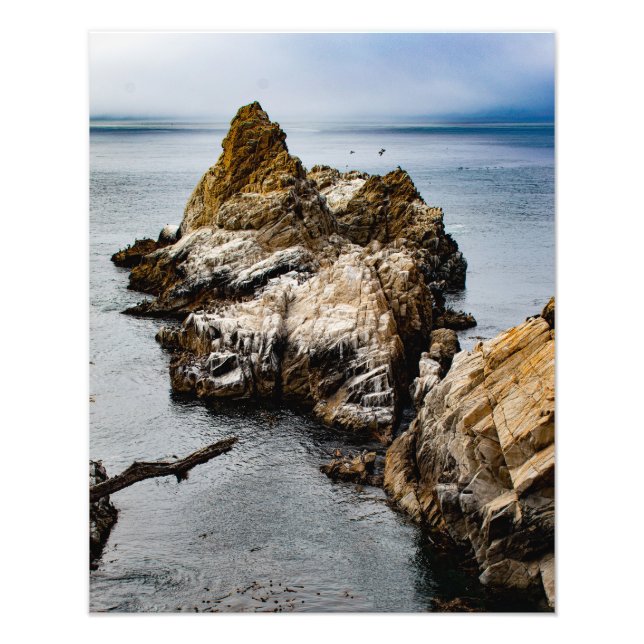 Impression Photo Foggy Soirée à Point Lobos (Devant)