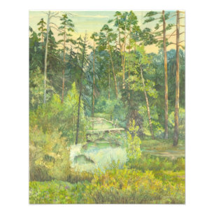 Impression Photo forêt