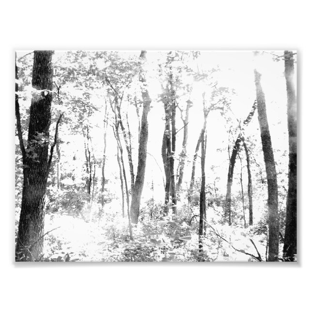 Impression Photo Forêt de Ghoost (Devant)