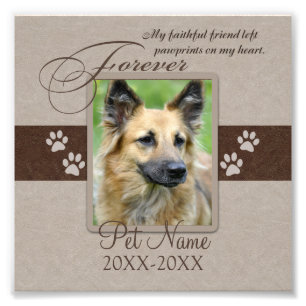 Impression Photo Forever Love Pet Sympathy Custom