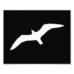 Impression Photo Forme de mouette