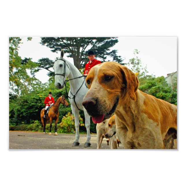 Impression Photo Foxhound Dogs Horses West Berkshire Hunt England (Devant)